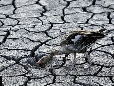 پاییز از تابستان هم سخت‌ تر؛ ذخایر آب تهران به کمترین حد تاریخی رسید!