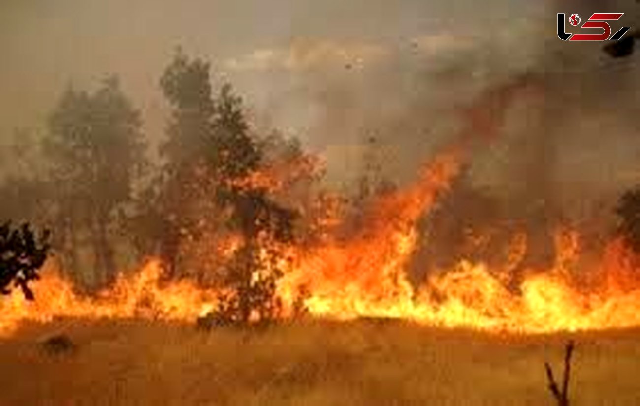 آتش ۱۰۰ هکتار از مراتع قم را سوزاند