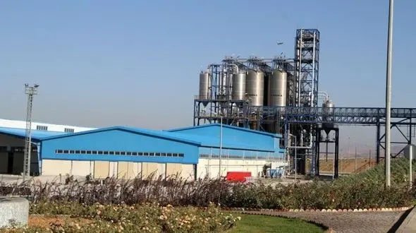 پتروشیمی چند نفر را سر کار می‌گذارد؟!