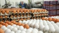 فروش تخم مرغ در بازار ارزان تر از نرخ مصوب 