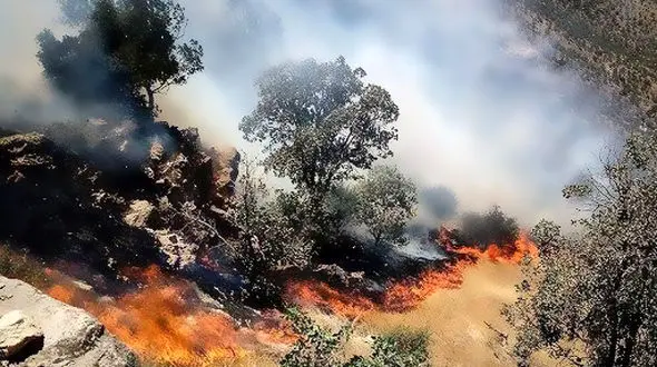 آتش‌سوزی گسترده در منطقه چگنی 