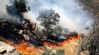 آتش‌سوزی گسترده در منطقه چگنی 