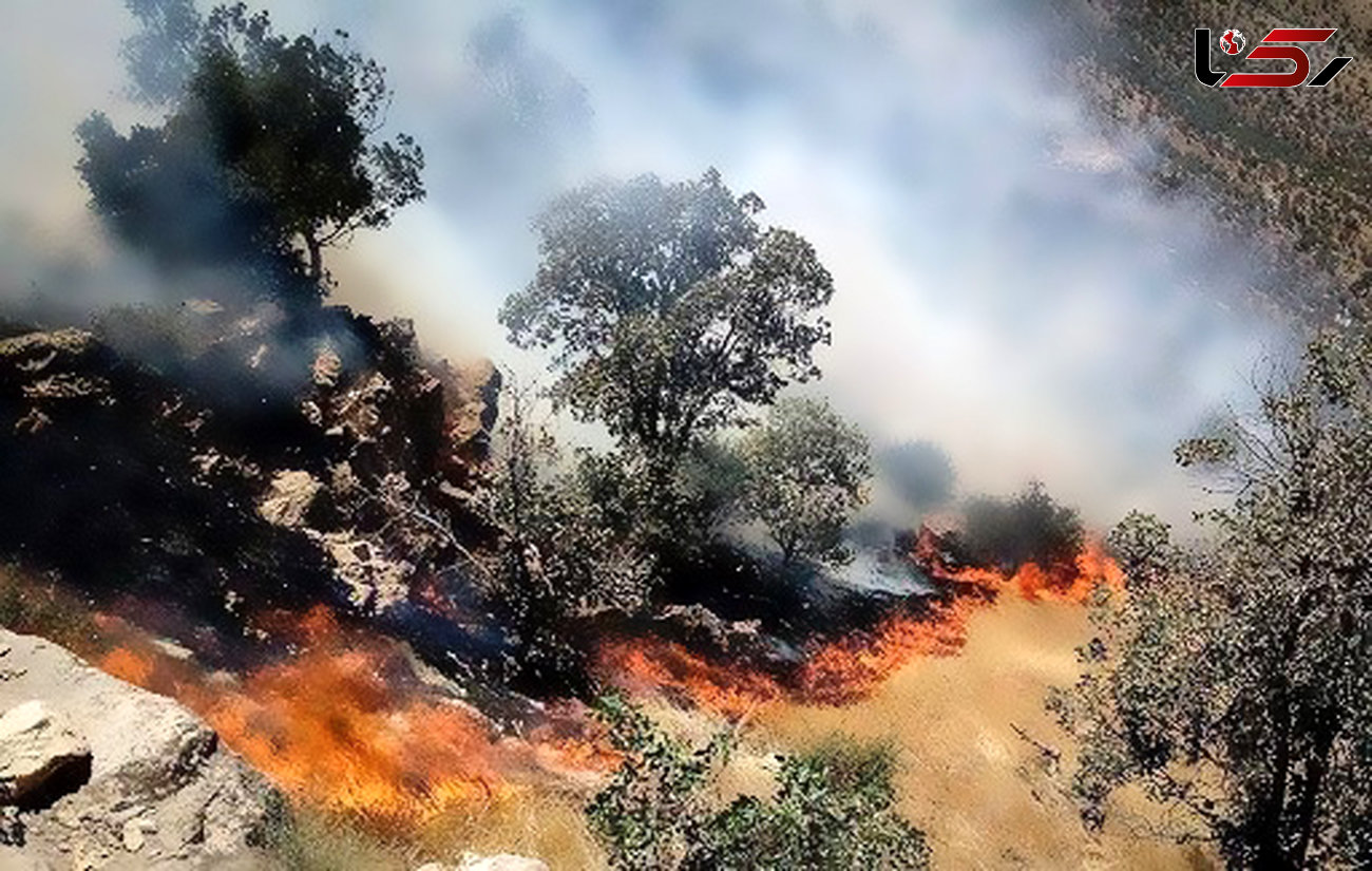 آتش‌سوزی گسترده در منطقه چگنی 
