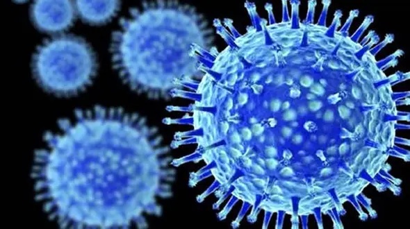 بیش از نیمی از آمریکایی ها به کرونا مبتلا خواهند شد