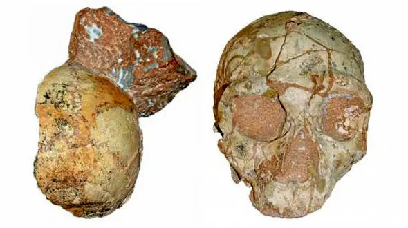 کشف قدیمی ترین جمجمه انسان+عکس