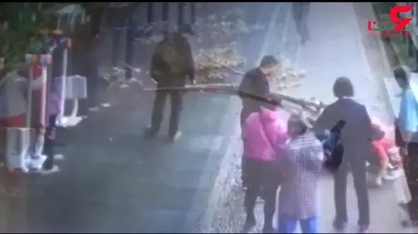 لحظه‌ی سقوط شاخه‌ی بزرگ درخت پارک روی سر یک مرد + فیلم