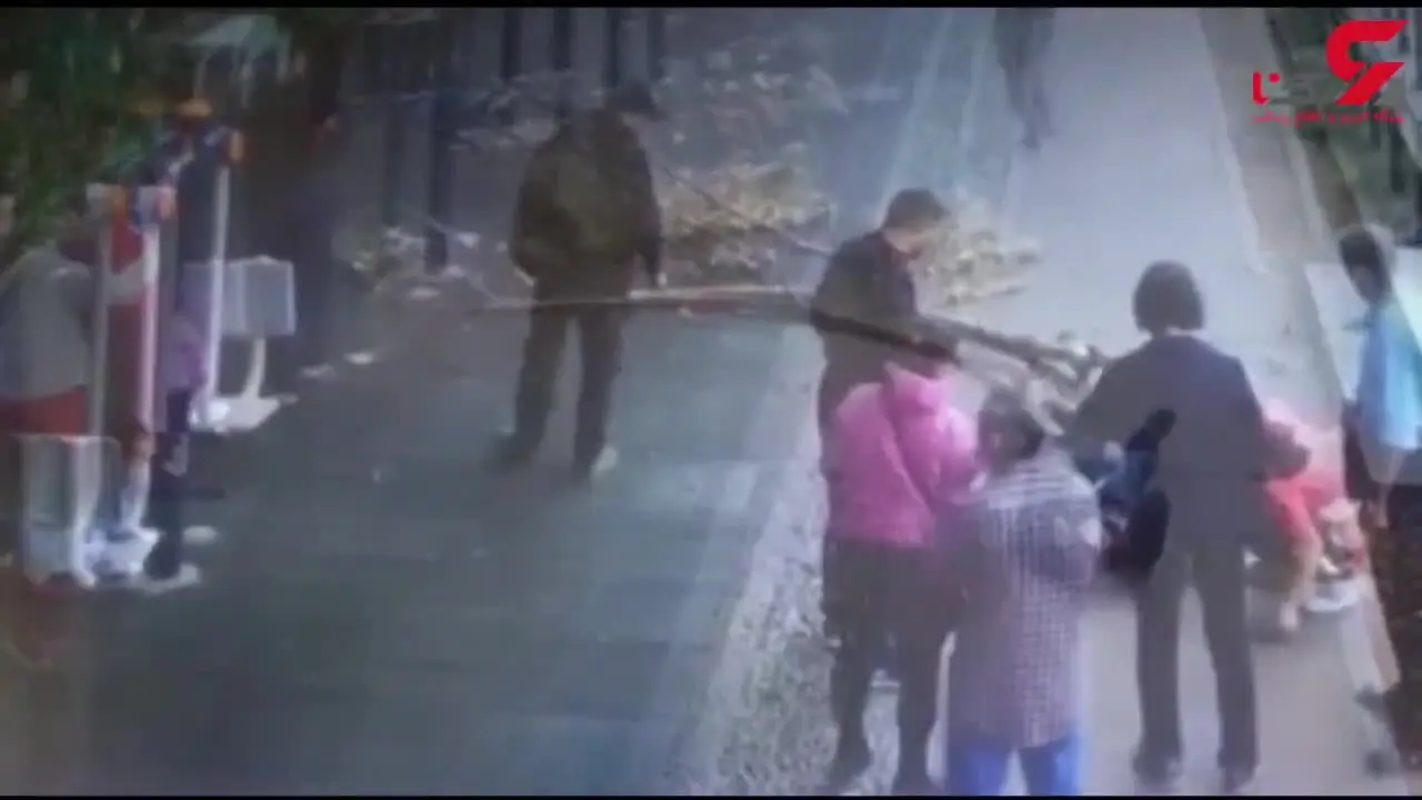 لحظه‌ی سقوط شاخه‌ی بزرگ درخت پارک روی سر یک مرد + فیلم