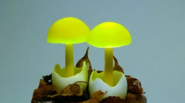 خلاقیت مشاغل / ابتکار بامزه در طراحی آباژور رومیزی به شکل قارچ‌ جنگلی + عکس