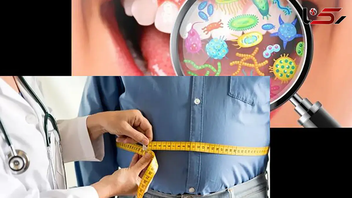 میکروب‌های دهان می‌توانند کلید پیشگیری از چاقی باشند