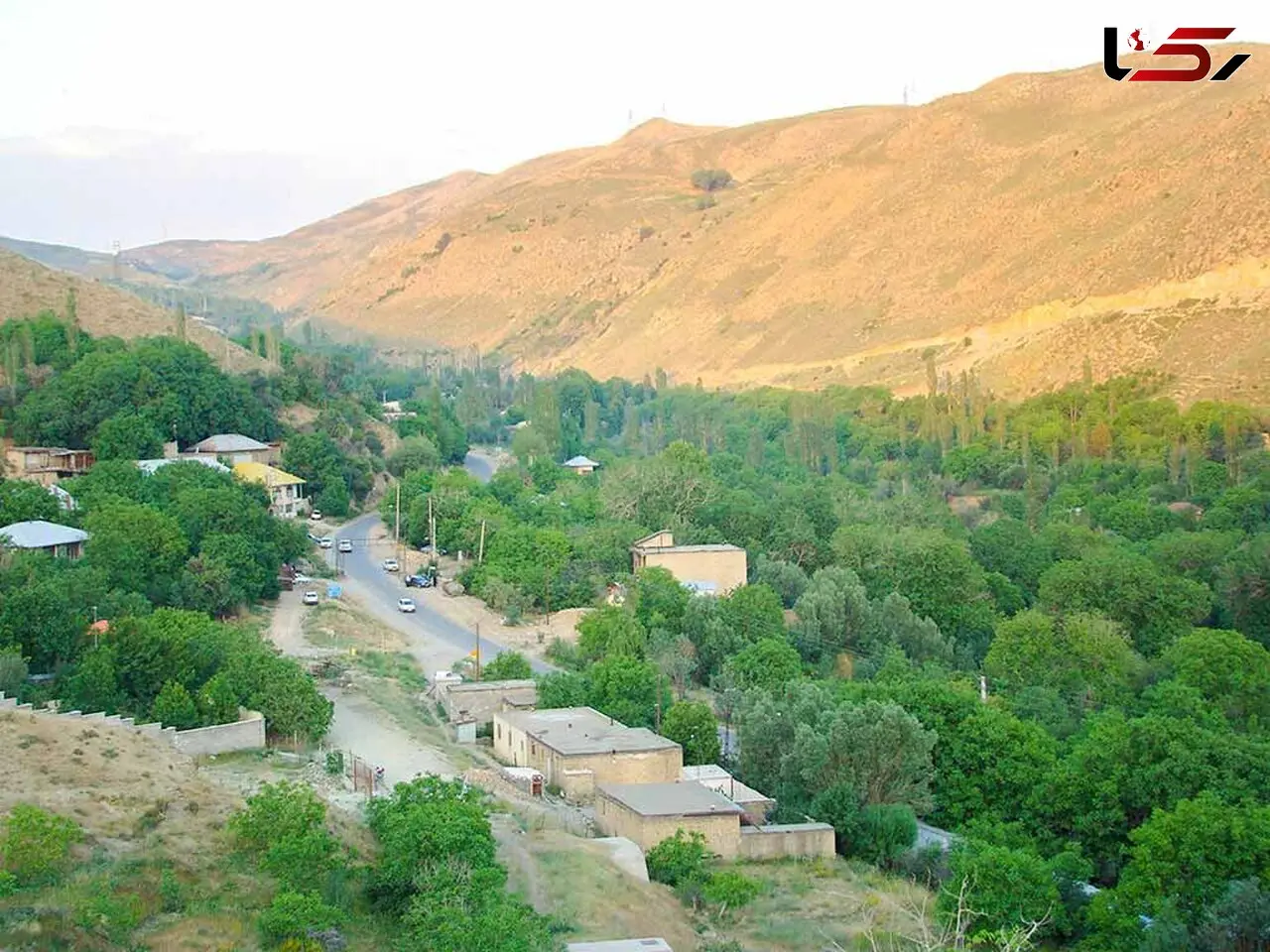 عکس های زیبا از پرواز پرنده‌ای خاص در آسمان تهران / وقتی پادشاه دیروز همه را تسخیر کرد