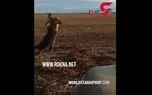 مورچه‌خوار مرد سمج را تنبیه کرد+ فیلم