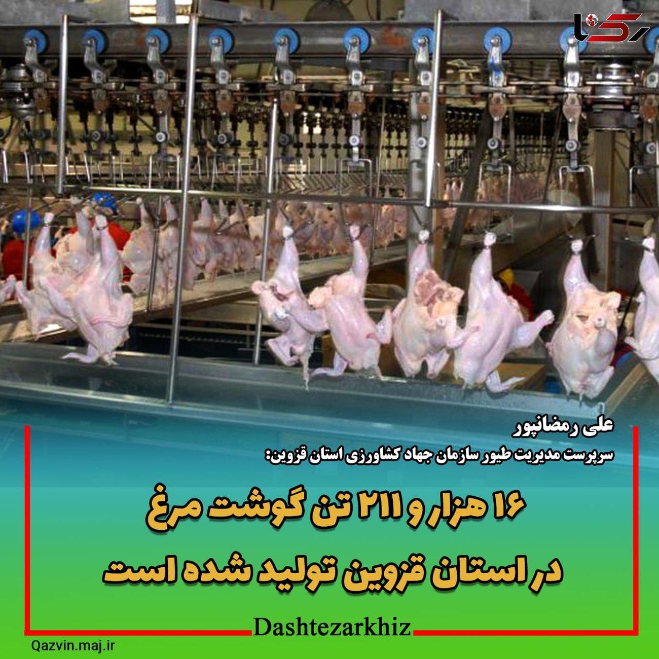  ۱۶ هزار و ۲۱۱ تن گوشت مرغ در استان قزوین تولید شده است