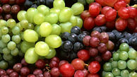 میوه ضد کلسترول خون را بشناسید