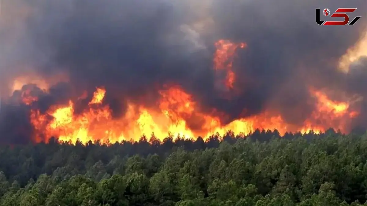 فروکش آتش‌سوزی در ارتفاعات چالوس با آغاز بارش‌ها