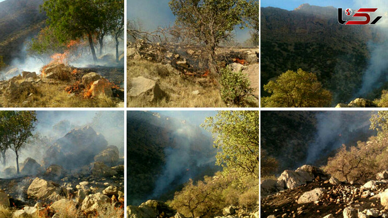 عکس های وحشتناک از آتش سوزی در کوه خامی گچساران  + تصاویر