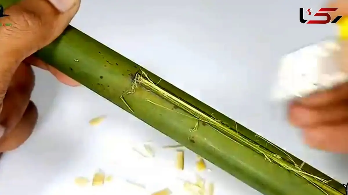 نگاهی دقیق به عملکرد و طراحی اسلحه یامبو