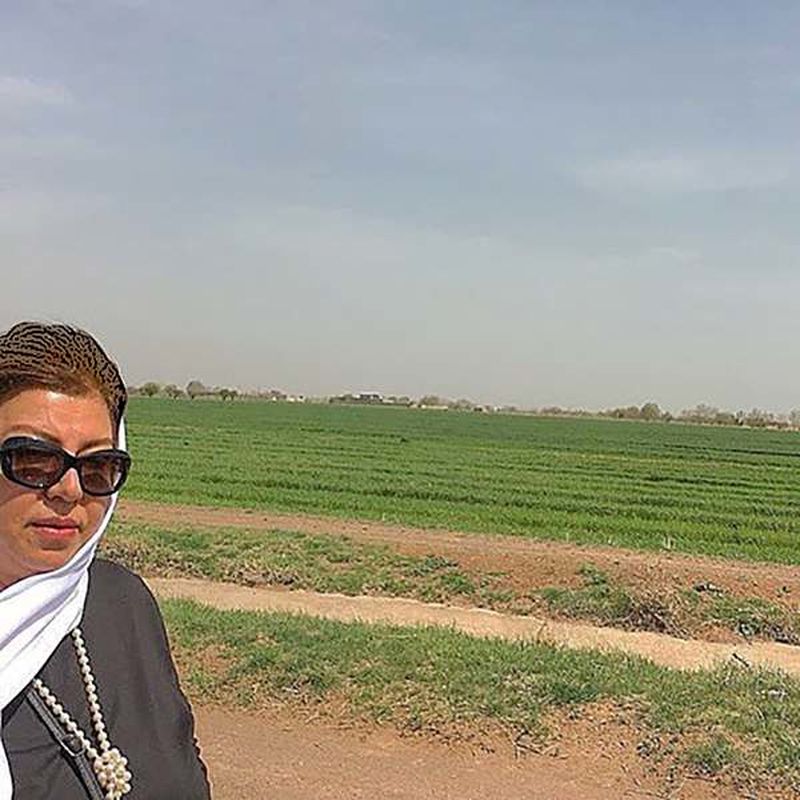 مادر پریچهر قنبری