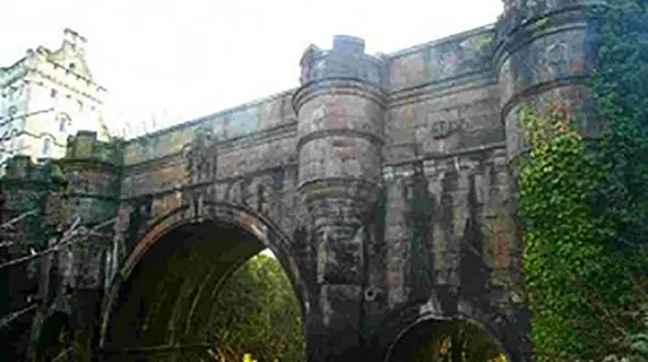 پل مرموزی که محل خودکشی سگ هاست + عکس 