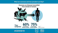 کروناویروس‌ها  بین انسان و حیوان مشترک هستند