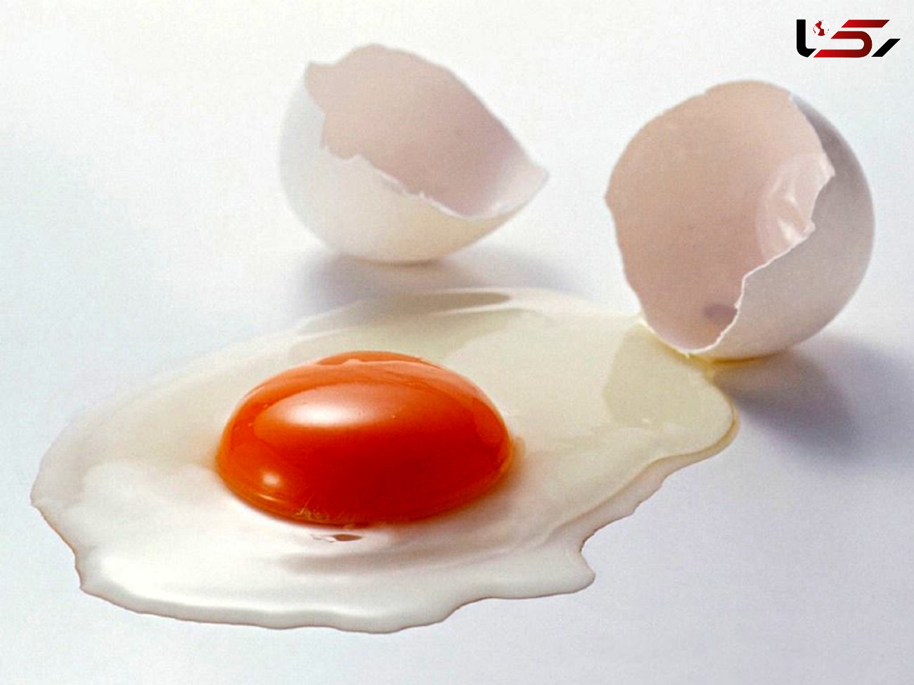همه آنچه که باید درباره نگهداری از تخم مرغ بدانید!