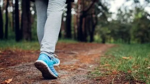 نکات مهم در پیاده‌ روی اصولی 