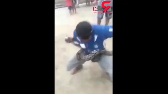 لحظه حمله مار به یک مرد + تصویر