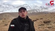 انتقال اجساد از فردا / گزارش خبرنگار اعزامی رکنا از روز سوم عملیات سقوط هواپیما تهران-یاسوج + فیلم