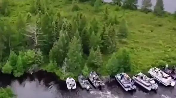 سرنوشت عجیب و دیدنی یک باتلاق + فیلم