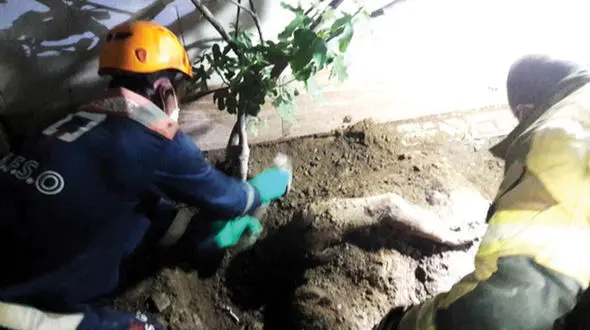 راز جسد دفن شده در پاتوق معتادان! + عکس و اعتراف پدر و پسر مشهدی