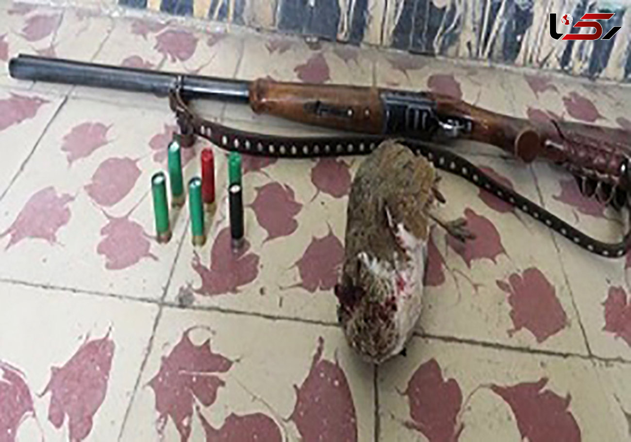 دستگیری ۲۴ شکارچی غیرمجاز در گلستان