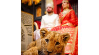 نترس ترین عروس و داماد دنیا / همه مهمانان از ترس شوکه شدند + عکس