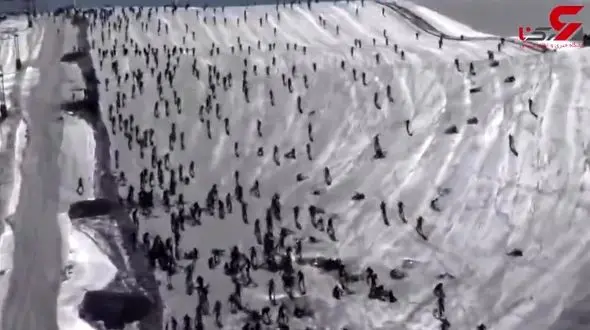 سقوط وحشتناک دوچرخه سواران در قله آلپ +فیلم