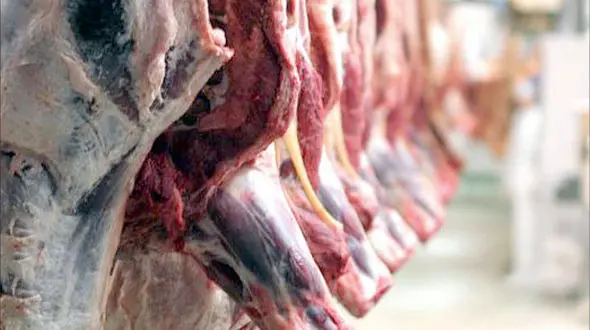 کشف تجارت مرگبار مافیای گوشت های آلوده در ایران