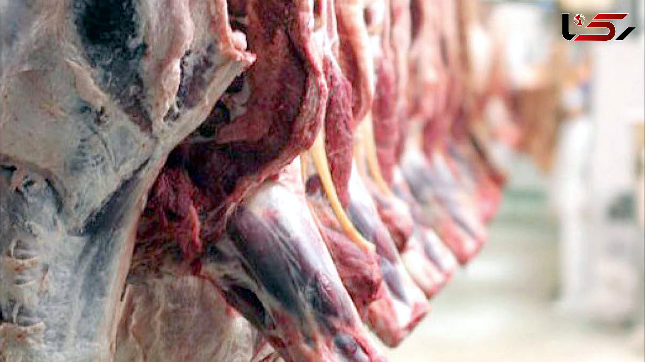 کشف تجارت مرگبار مافیای گوشت های آلوده در ایران