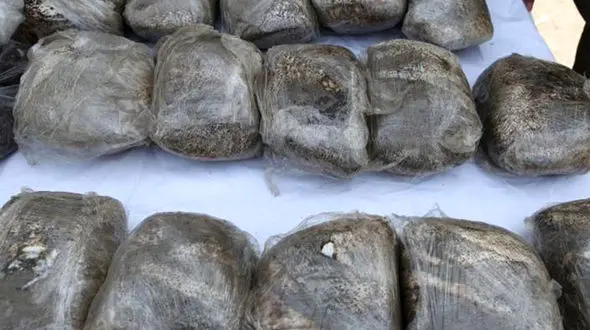 کشف 10 کیلو کراک در نی‌ریز