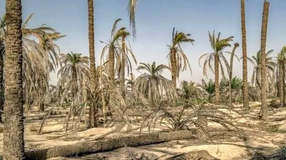 خطر مرگ ایران با فلاکت آبی / تورم بزرگتر در راه است/ لزوم حرکت پارتیزانی دولت برای نجات کشور