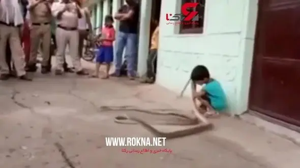 بازی وحشتناک کودک با مار + فیلم