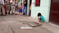 بازی وحشتناک کودک با مار + فیلم