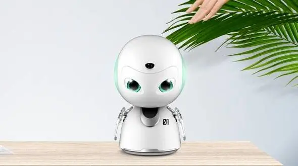 ربات خانه دار همه کار می کند!