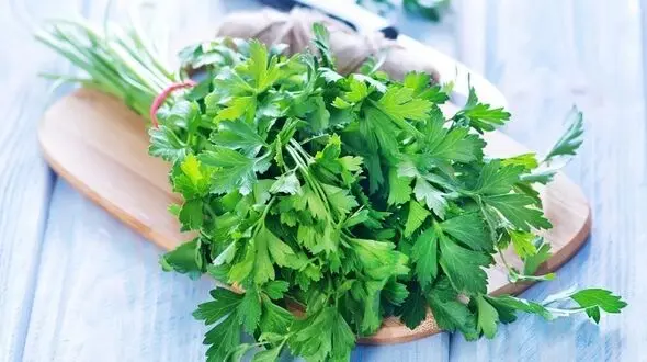 خواص سبزی جعفری؛ از درمان دیابت تا نابودی سنگ کلیه