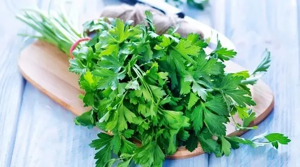 خواص سبزی جعفری؛ از درمان دیابت تا نابودی سنگ کلیه