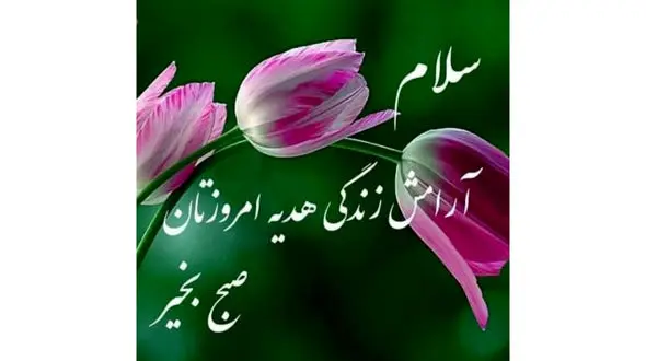 فال شما در 10 آذر 1402 + فیلم