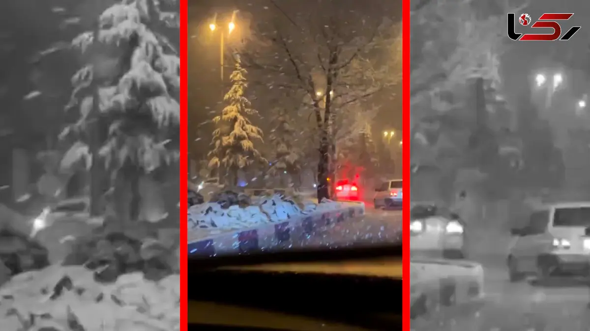 فیلم بارش برف در سپیدان فارس