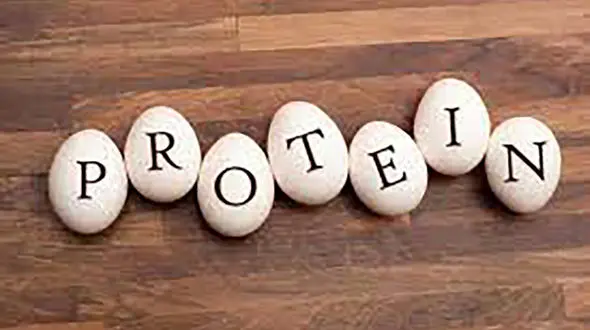 عجیب ترین نشانه های کمبود پروتئین بدن + اینفوگرافی