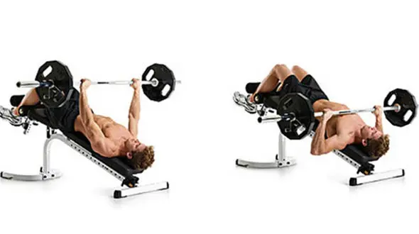 پایان مسابقات پرس سینه و ددلیفت قهرمانی باشگاههای شرق و جنوب شرق کشور