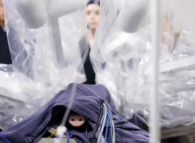 تصاویر علمی