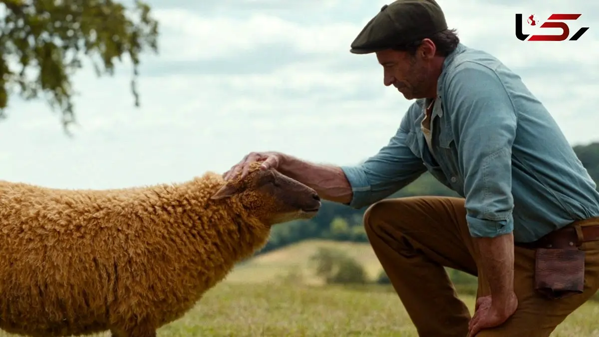 اولین تریلر فیلم The Sheep Detectives با بازی هیو جکمن منتشر شد + فیلم