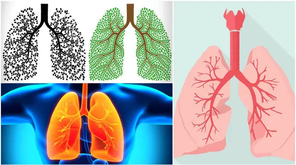 راه های پاکسازی ریه از آلودگی هوا