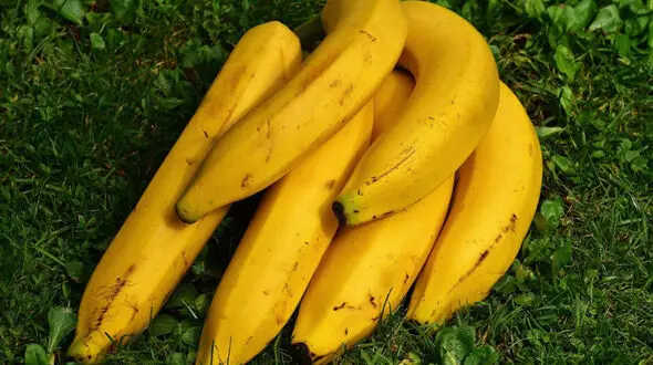 بهبود علائم افسردگی با مصرف این خوراکی ها