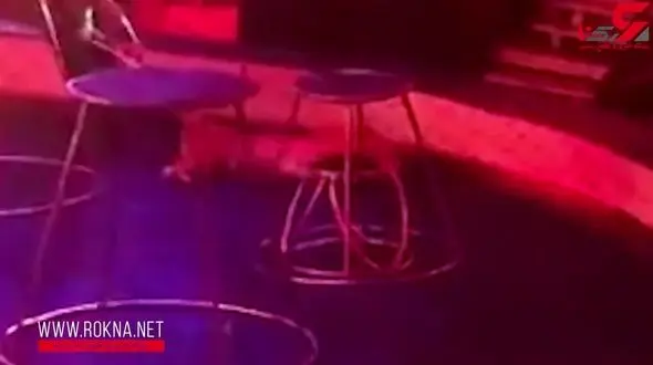 غش کردن یک ببر در سیرک هنگام اجرای نمایش + فیلم 